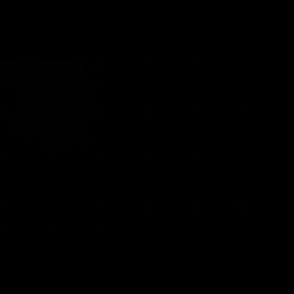 ice429